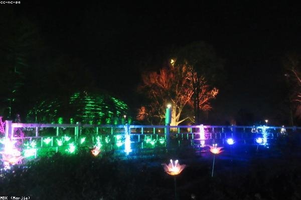 Landscape Lightings
