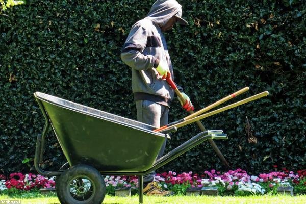 Landscape Maintenance